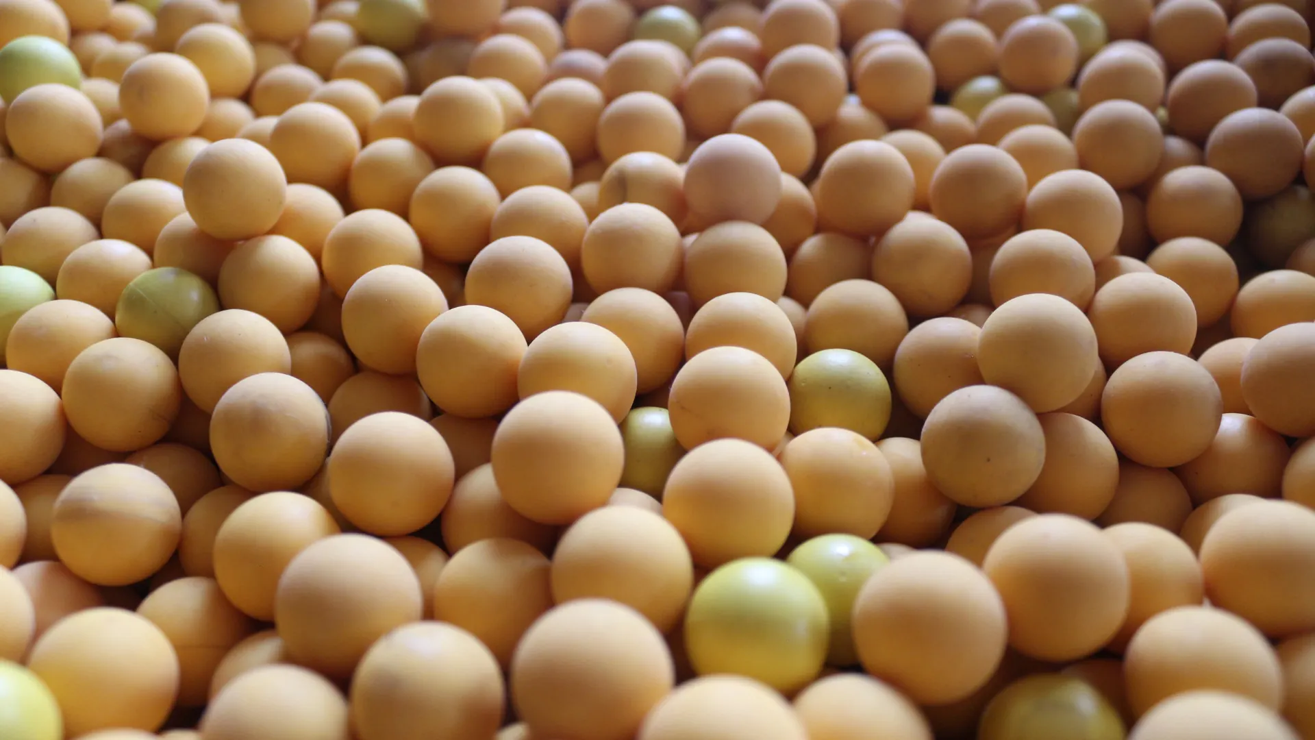 Reusable rubber balls used for Reball